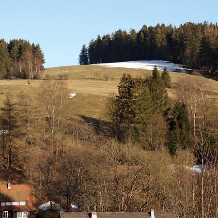 Ferienwohnung Himmelblau - Altenau Harz Exteriér fotografie